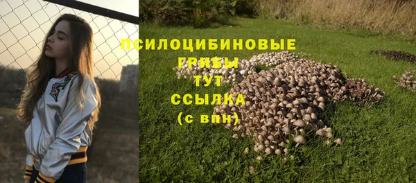 гашишное масло Алексеевка