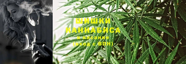 сатива Абаза